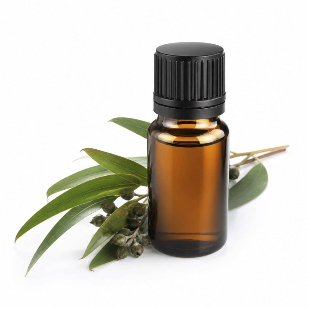 Flacon d'huile essentielle d'eucalyptus radiata présenté seul