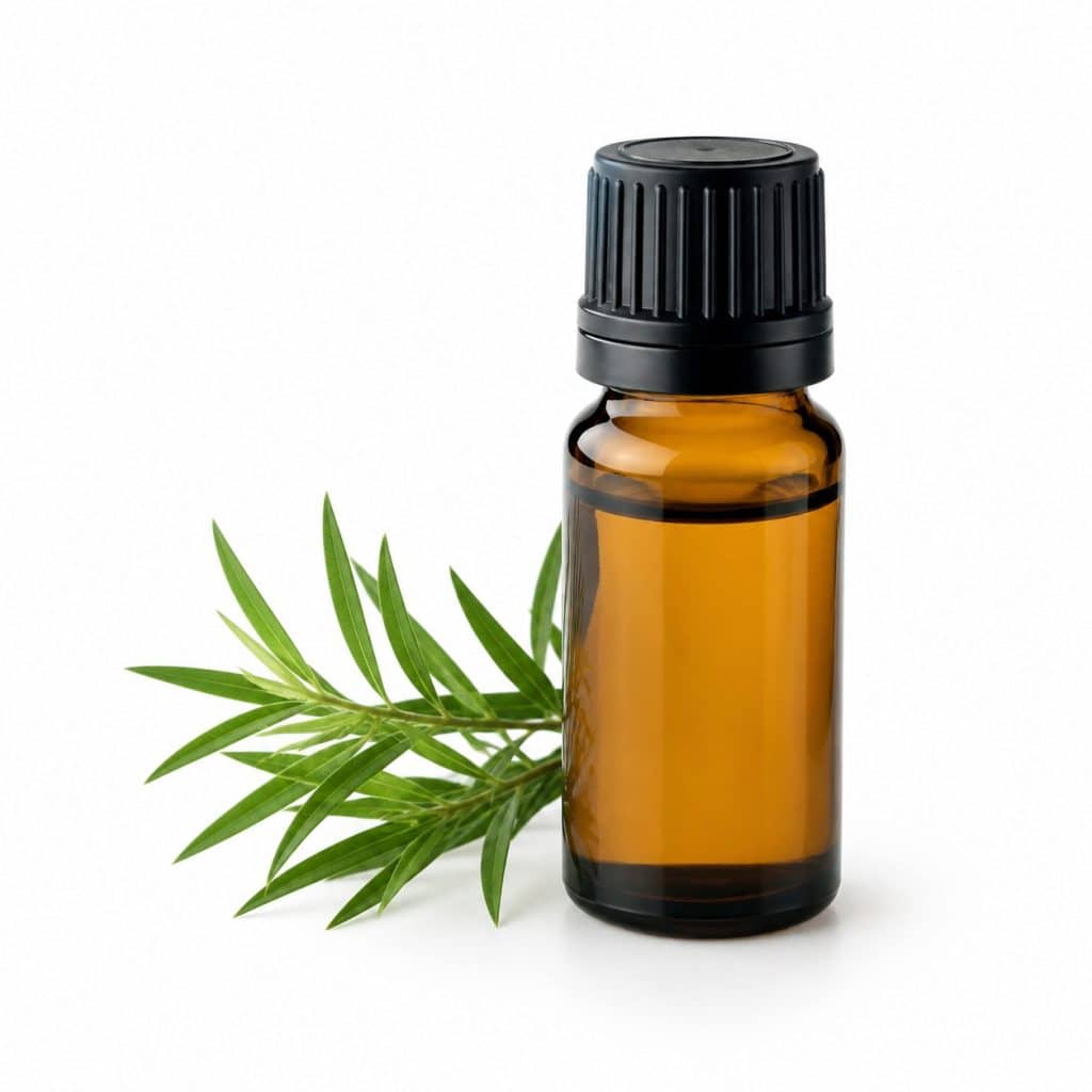 Flacon d'huile essentielle de tea tree présenté seul